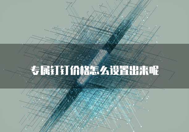 专属钉钉价格怎么设置出来呢