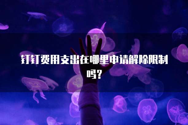 钉钉费用支出在哪里申请解除限制吗?