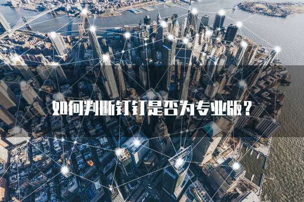 如何判断钉钉是否为专业版?