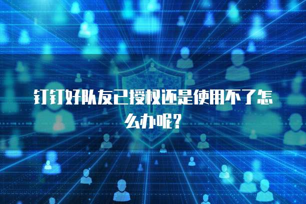钉钉好队友已授权还是使用不了怎么办呢?