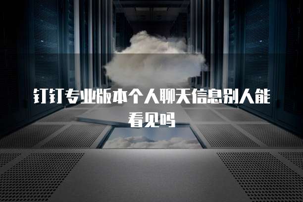 钉钉专业版本个人聊天信息别人能看见吗