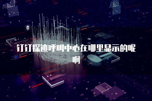 钉钉探迹呼叫中心在哪里显示的呢啊