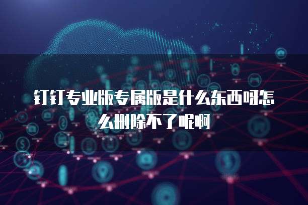 钉钉专业版专属版是什么东西呀怎么删除不了呢啊