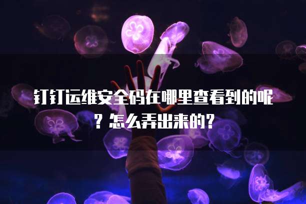 钉钉运维安全码在哪里查看到的呢?怎么弄出来的?