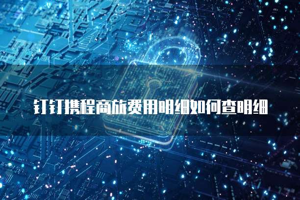 钉钉携程商旅费用明细如何查明细
