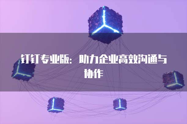 钉钉专业版:助力企业高效沟通与协作