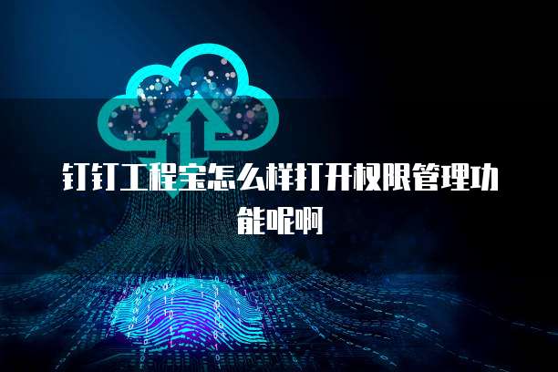 钉钉工程宝怎么样打开权限管理功能呢啊