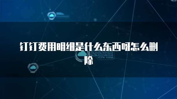 钉钉费用明细是什么东西呀怎么删除