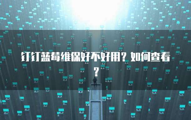钉钉蓝莓维保好不好用?如何查看?
