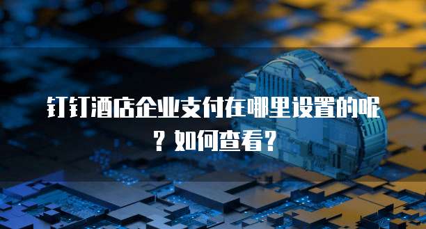钉钉酒店企业支付在哪里设置的呢？如何查看？