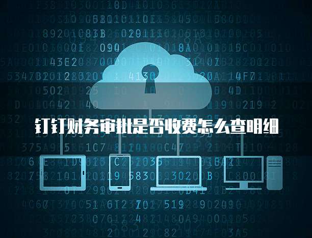钉钉财务审批是否收费怎么查明细