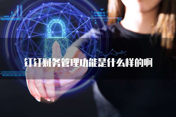 钉钉财务管理功能是什么样的啊