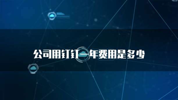 公司用钉钉一年费用是多少