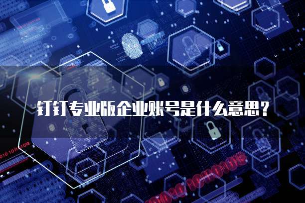 钉钉专业版企业账号是什么意思?