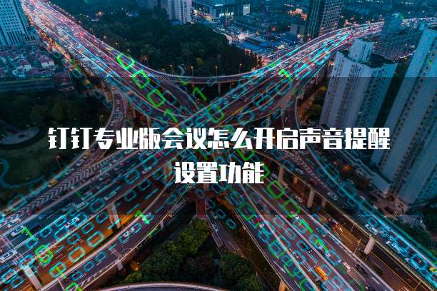 钉钉专业版会议怎么开启声音提醒设置功能