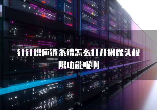 钉钉供应链系统怎么打开摄像头权限功能呢啊