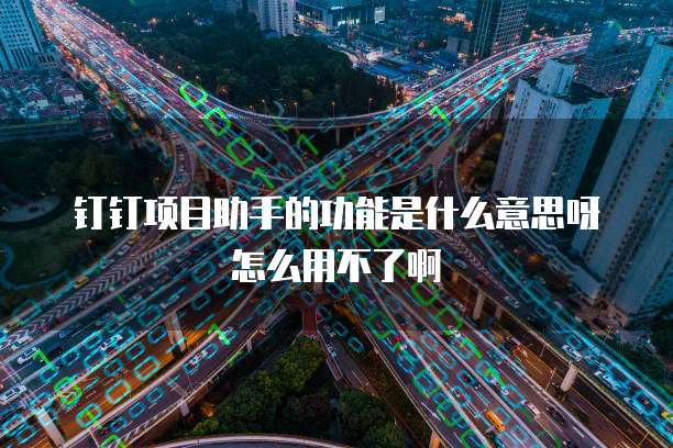 钉钉项目助手的功能是什么意思呀怎么用不了啊