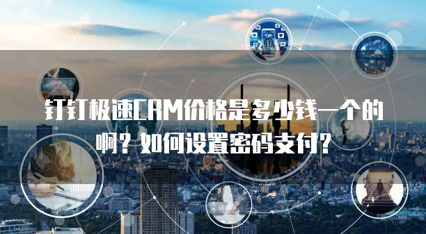 钉钉极速CRM价格是多少钱一个的啊?如何设置密码支付?