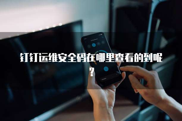 钉钉运维安全码在哪里查看的到呢?