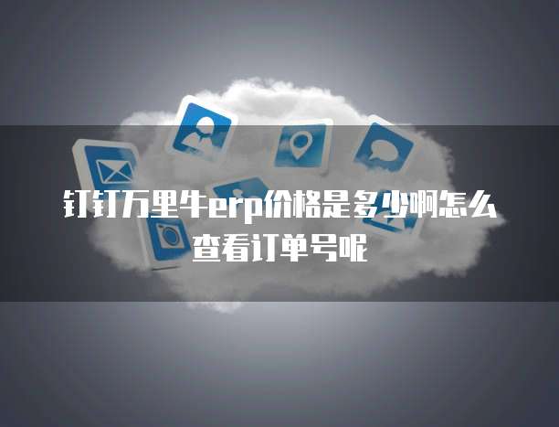 钉钉万里牛erp价格是多少啊怎么查看订单号呢