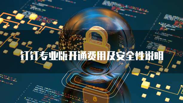钉钉专业版开通费用及安全性说明