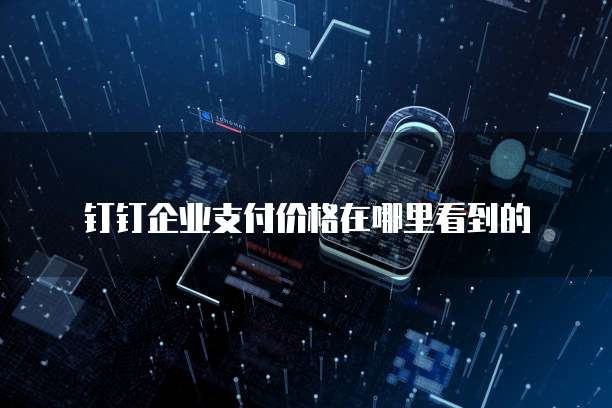 钉钉企业支付价格在哪里看到的