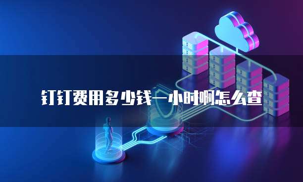 钉钉费用多少钱一小时啊怎么查