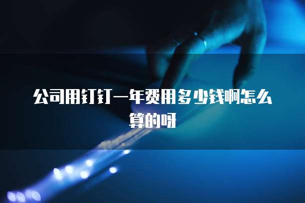 公司用钉钉一年费用多少钱啊怎么算的呀