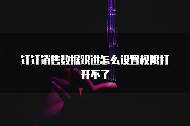 钉钉销售数据跟进怎么设置权限打开不了