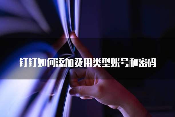 钉钉如何添加费用类型账号和密码