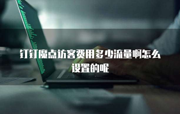 钉钉魔点访客费用多少流量啊怎么设置的呢