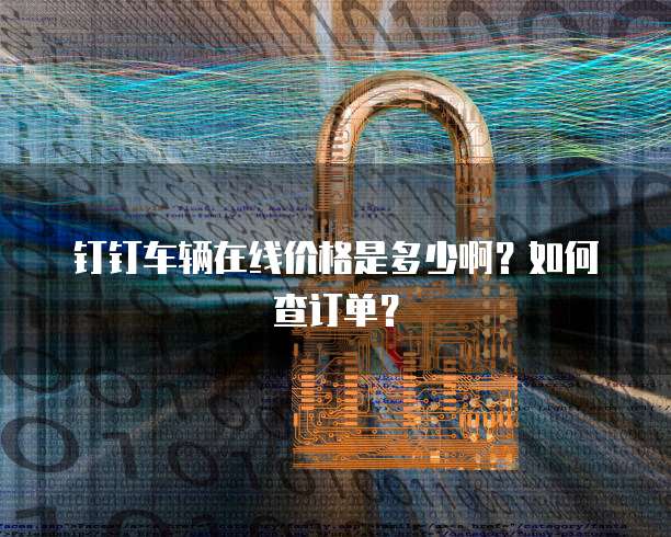 钉钉车辆在线价格是多少啊?如何查订单?