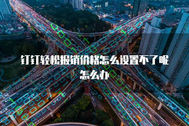 钉钉轻松报销价格怎么设置不了呢怎么办