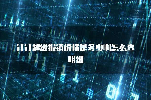 钉钉超级报销价格是多少啊怎么查明细