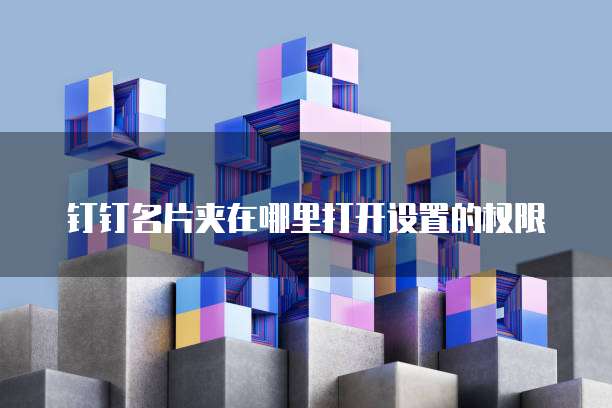 钉钉名片夹在哪里打开设置的权限