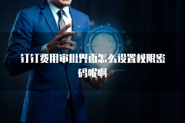 钉钉费用审批界面怎么设置权限密码呢啊