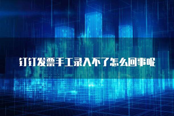 钉钉发票手工录入不了怎么回事呢