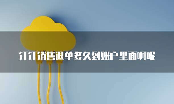 钉钉销售退单多久到账户里面啊呢