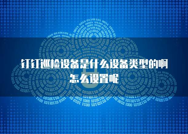 钉钉巡检设备是什么设备类型的啊怎么设置呢