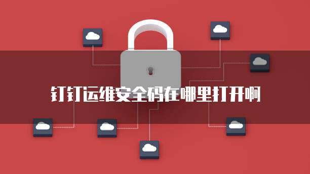 钉钉运维安全码在哪里打开啊