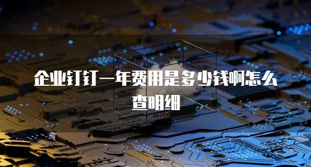 企业钉钉一年费用是多少钱啊怎么查明细