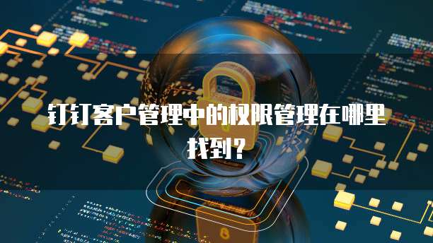 钉钉客户管理中的权限管理在哪里找到?