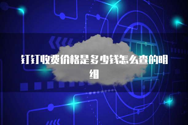 钉钉收费价格是多少钱怎么查的明细