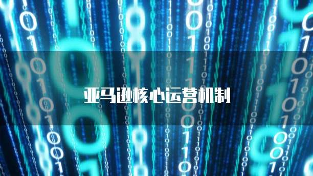 如何查看钉钉是否使用了专业版登录