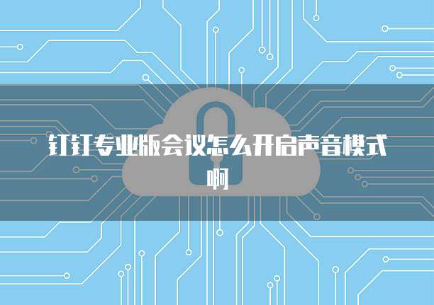 钉钉专业版会议怎么开启声音模式啊