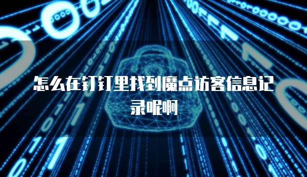 怎么在钉钉里找到魔点访客信息记录呢啊