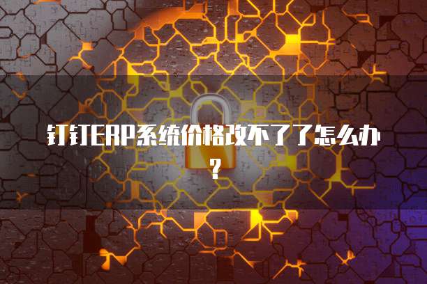 钉钉ERP系统价格改不了了怎么办？