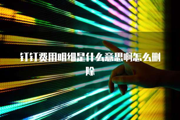 钉钉费用明细是什么意思啊怎么删除