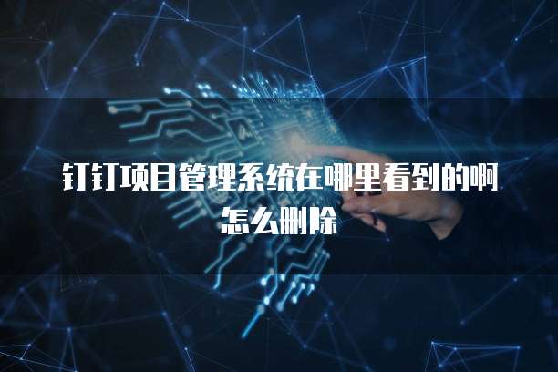 钉钉项目管理系统在哪里看到的啊怎么删除