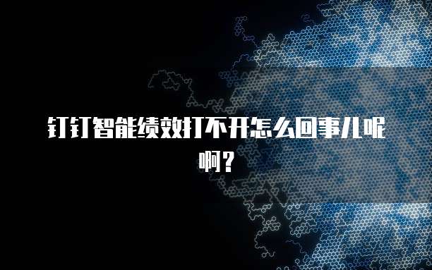 钉钉智能绩效打不开怎么回事儿呢啊?